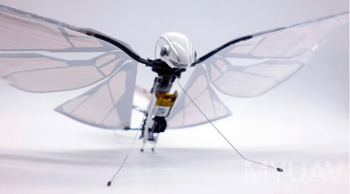 Latest company news about Bionic UAV technology theoretical analysis, flapping wing UAV technology detailed explanation