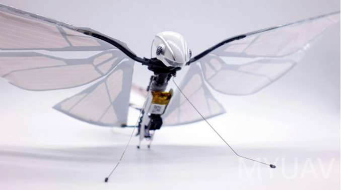 Bionic UAV technology theoretical analysis, flapping wing UAV ...